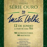 Banner - LEILÃO SÉRIE OURO MATA VELHA