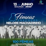 Banner - LEILÃO VIRTUAL FÊMEAS PRECOCES NELORE MACHADINHO