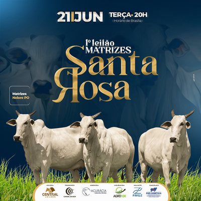 1º LEILÃO MATRIZES SANTA ROSA