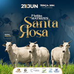 Banner - 1º LEILÃO MATRIZES SANTA ROSA