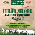 Banner - LEILÃO NELORE ELSIMAR COUTINHO INTEGRA