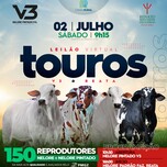 Banner - LEILÃO VIRTUAL TOUROS NELORE V3 & REATA