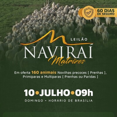 LEILÃO NAVIRAÍ MATRIZES