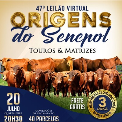 47° LEILÃO VIRTUAL ORIGENS DO SENEPOL