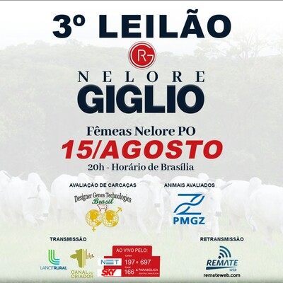 3° LEILÃO NELORE GIGLIO - FÊMEAS NELORE PO 