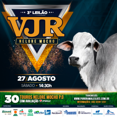 3º LEILÃO VIRTUAL VJR NELORE MOCHO