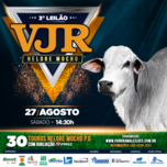 Banner - 3º LEILÃO VIRTUAL VJR NELORE MOCHO