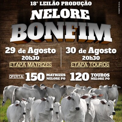18º LEILÃO PRODUÇÃO NELORE BONFIM - ETAPA TOUROS