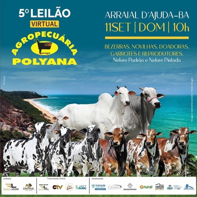5º LEILÃO VIRTUAL AGROPECUÁRIA POLYANA