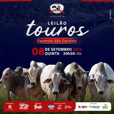 LEILÃO TOUROS FAZENDA SÃO GERALDO