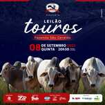 Banner - LEILÃO TOUROS FAZENDA SÃO GERALDO