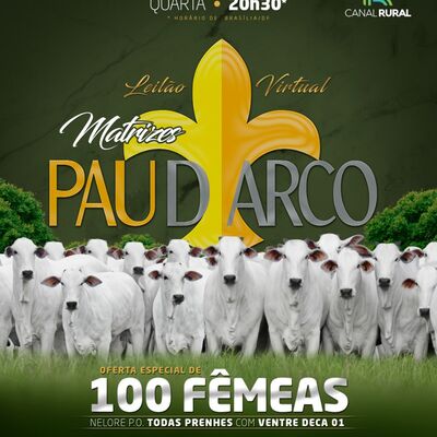 LEILÃO VIRTUAL MATRIZES PAU D' ARCO