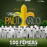 Banner - LEILÃO VIRTUAL MATRIZES PAU D' ARCO