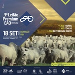 Banner - 3° LEILÃO VIRTUAL PREMIUM EAO