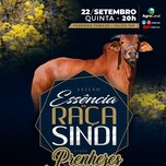 Banner - Leilão Essência da Raça Sindi - Prenhezes