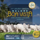 Banner - 11º Leilão Virtual Nelore Boa Vista