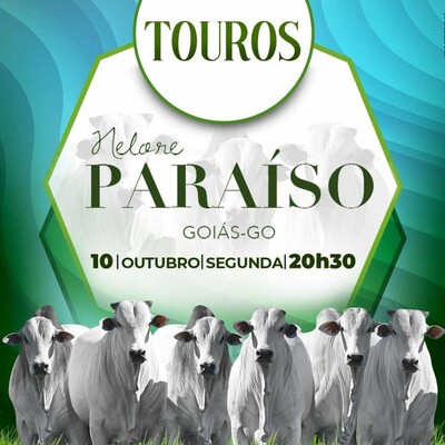 LEILÃO NELORE PARAÍSO