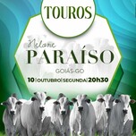 Banner - LEILÃO NELORE PARAÍSO