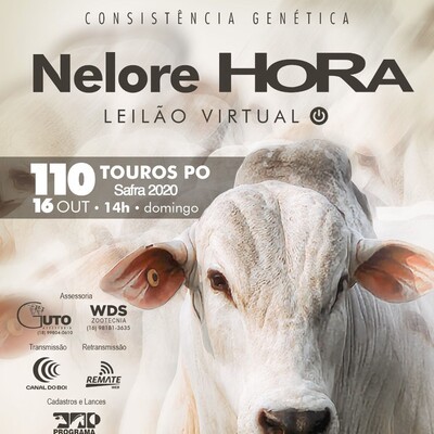 LEILÃO VIRTUAL NELORE HORA