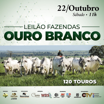 LEILÃO FAZENDAS OURO BRANCO