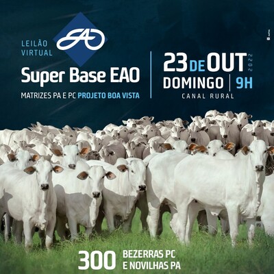 LEILÃO VIRTUAL SUPER BASE EAO