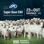 Banner - LEILÃO VIRTUAL SUPER BASE EAO