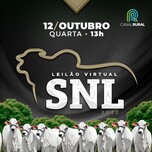 Banner - LEILÃO VIRTUAL SNL 2022