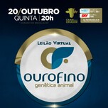 Banner - LEILÃO VIRTUAL OURO FINO
