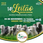 Banner - 14º Leilão API - Edição Especial