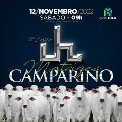 2° LEILÃO MATRIZES CAMPARINO
