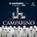 Banner - 2° LEILÃO MATRIZES CAMPARINO