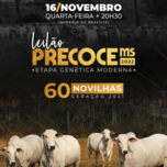 Banner - LEILÃO PRECOCE MS 2022 - ETAPA GENÉTICA MODERNA