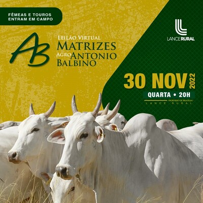 LEILÃO VIRTUAL MATRIZES AGRO ANTÔNIO BALBINO