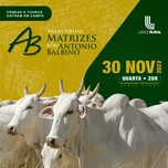 Banner - LEILÃO VIRTUAL MATRIZES AGRO ANTÔNIO BALBINO