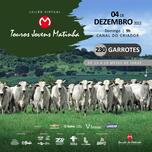 Banner - LEILÃO VIRTUAL TOUROS JOVENS MATINHA