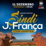 Banner - Leilão Virtual Sindi J. França - Etapa Genética