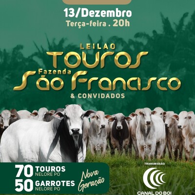 Leilão Touros Fazenda São Francisco & Convidados