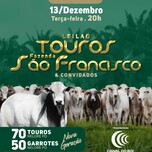 Banner - Leilão Touros Fazenda São Francisco & Convidados