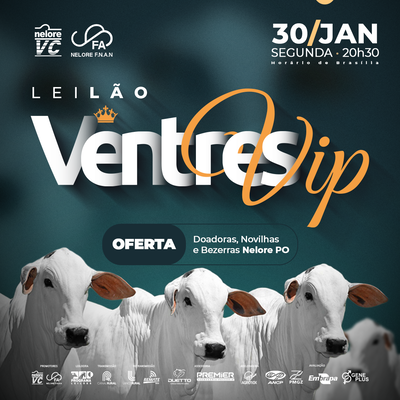 LEILÃO VENTRES VIP - NELORE VC E NELORE FNAN