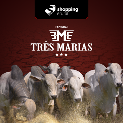 SHOPPING FAZENDA TRÊS MARIAS 