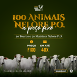 Banner - SHOPPING FAZENDA SANTA MÔNICA 