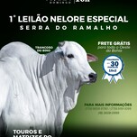 Banner - 1º LEILÃO NELORE ESPECIAL SERRA DO RAMALHO