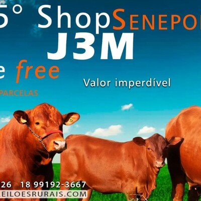 5º SHOP SENEPOL J3M