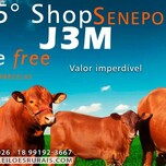 Banner - 5º SHOP SENEPOL J3M
