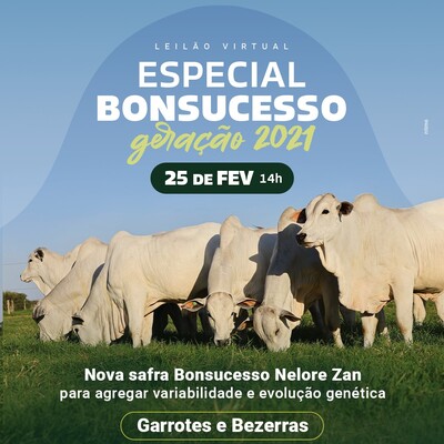 LEILÃO VIRTUAL ESPECIAL BONSUCESSO - GERAÇÃO 2021