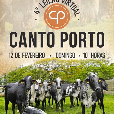 4° LEILÃO VIRTUAL CANTO PORTO