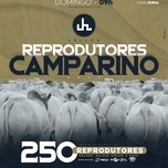 Banner - LEILÃO REPRODUTORES CAMPARINO 2023