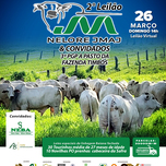 Banner - 2º LEILÃO NELORE JMAJ & CONVIDADOS - 26/03