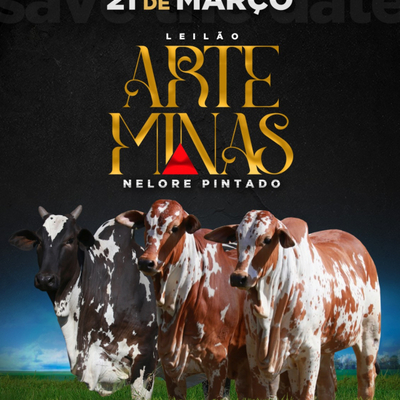 LEILÃO ARTE MINAS NELORE PINTADO