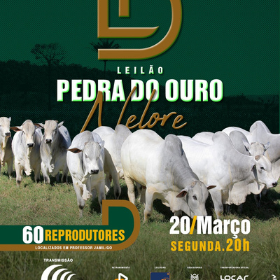 Leilão Pedra do Ouro Nelore - 20/03